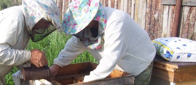 Пчеловоды за работой.